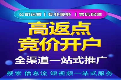 SEM服务公司助力品牌崛起案例